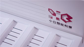 小白智能粉享系统V1专业供应商及200端口软件云开发服务