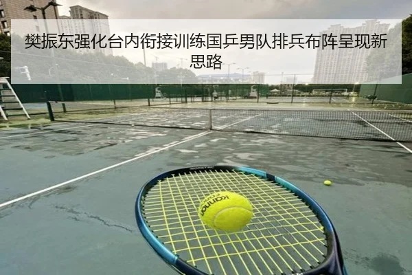 樊振东强化台内衔接训练国乒男队排兵布阵呈现新思路